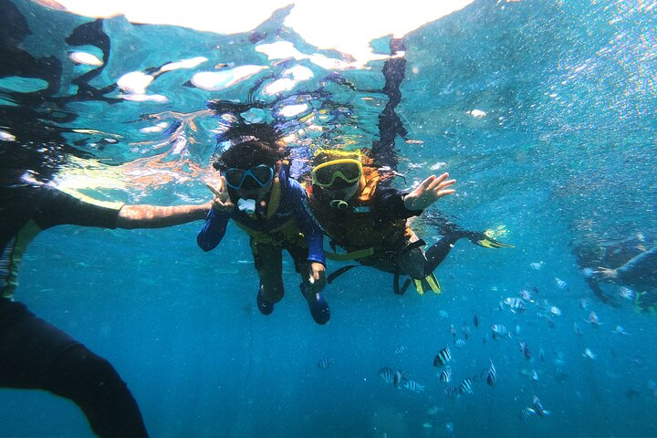 Bali Tropical Snorkeling and Mangrove Cruise - Photo 1 of 25