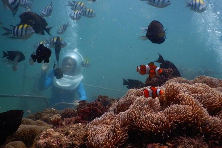 Bali Water Sport : Sea Walker,Donut Boat and Banana Boat with Hotel Transfers - Photo 1 of 11