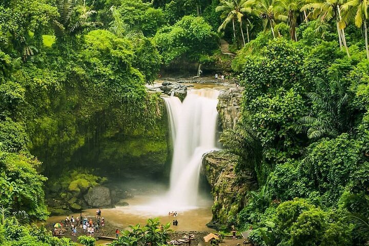 Balinase Cooking Class and Private Ubud Day Tour - Photo 1 of 5