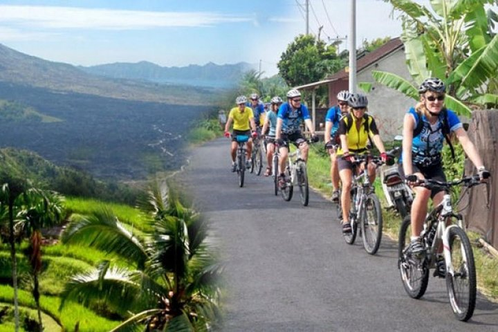 Ubud Bali Bicycle Tours