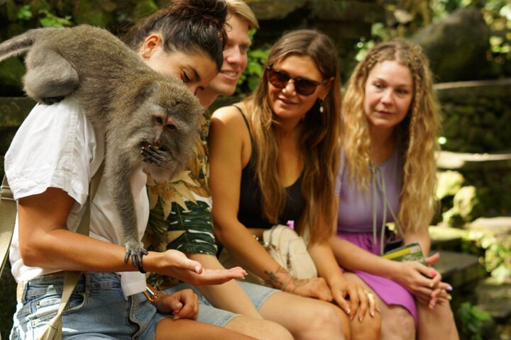 Best Of Ubud : Waterfall, Temple, Monkey Forest & Rice Terrace - Photo 1 of 8