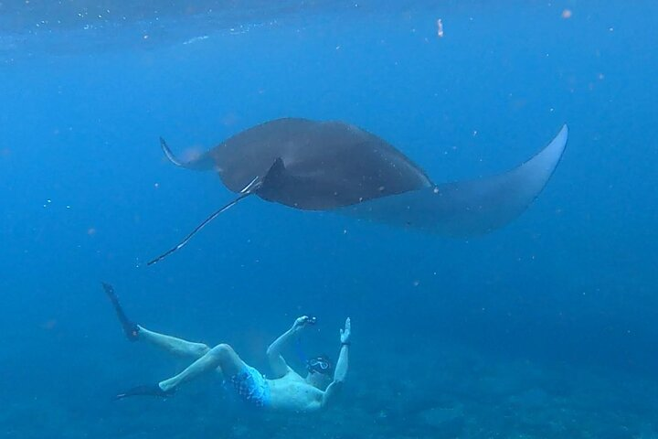2 Spots Snorkeling Tour with Manta Rays point in Nusa Penida - Photo 1 of 21