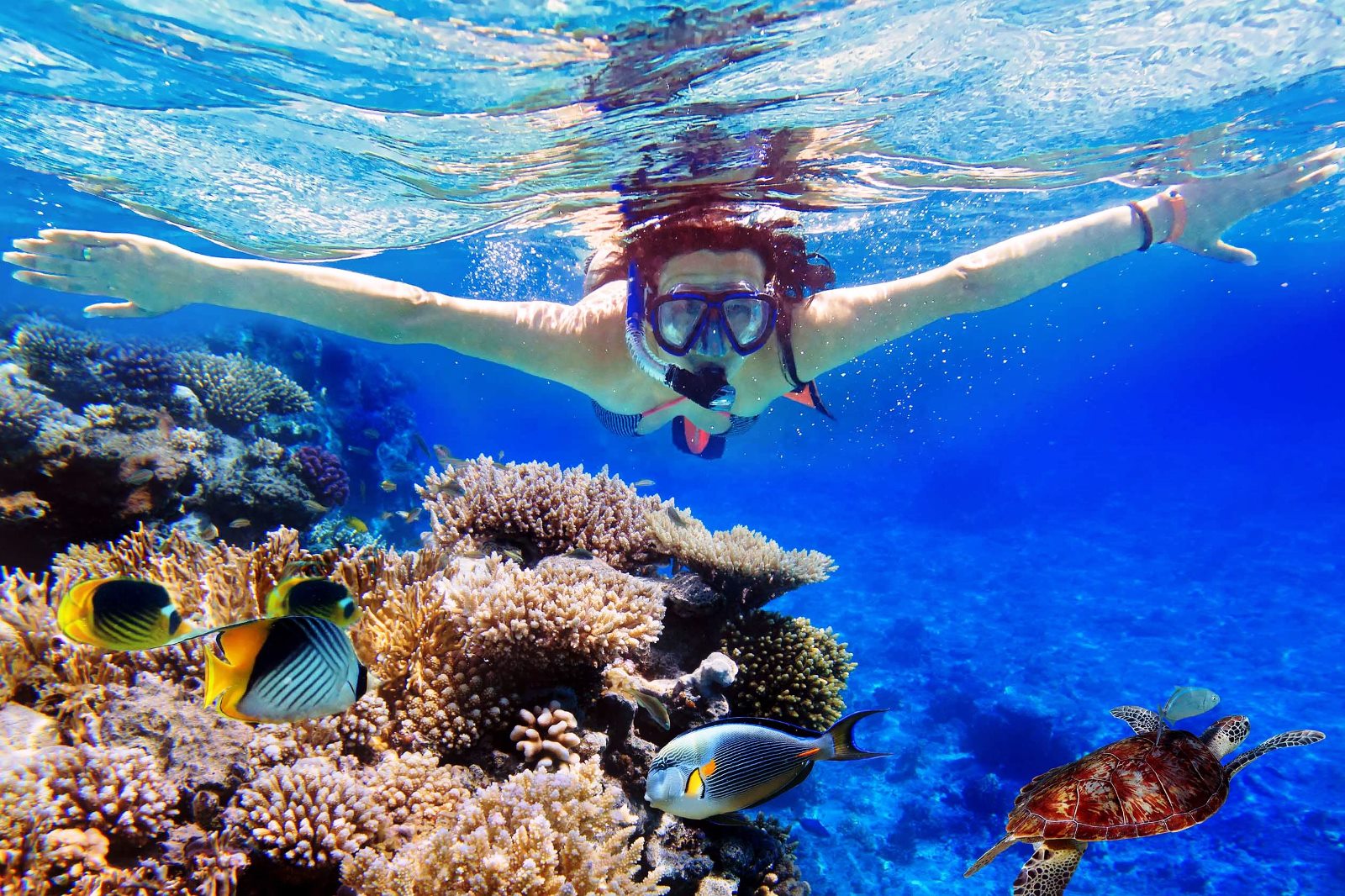 Dive into the crystal-clear waters of Blue Lagoon surrounded by colorful marine life. Experience the thrill of snorkeling alongside sea turtles and vibrant coral reefs while exploring Bali's stunning coastline.