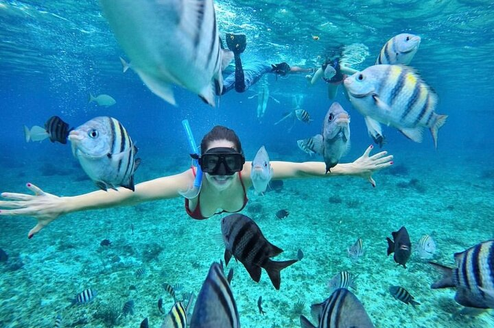 Bali Blue Lagoon Snorkeling with Optional Tour & Activities - Photo 1 of 10