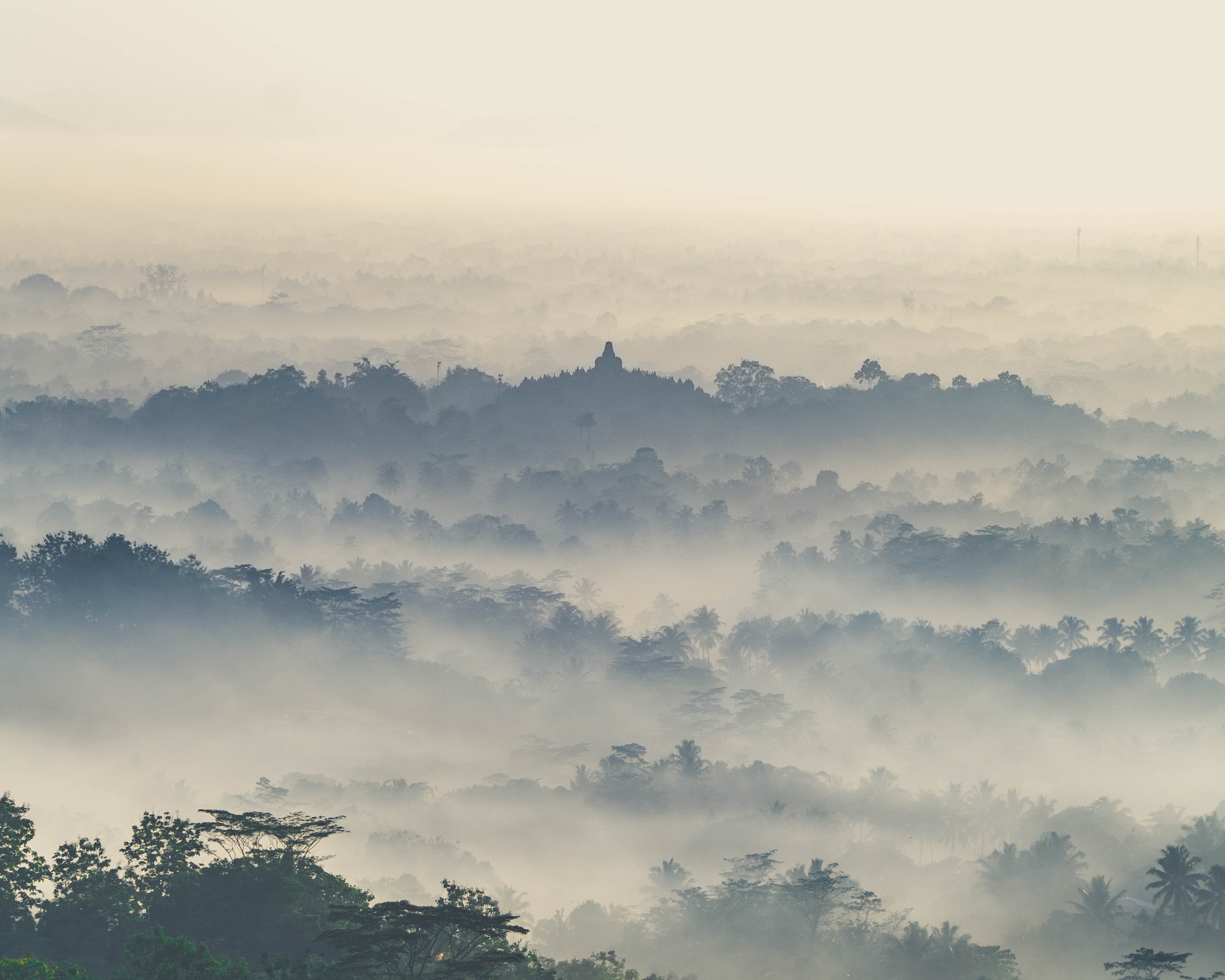 Witness the serene sunrise illuminating the misty landscapes of Java with Borobudur Temple emerging majestically in the distance promising unforgettable memories and stunning photo opportunities.