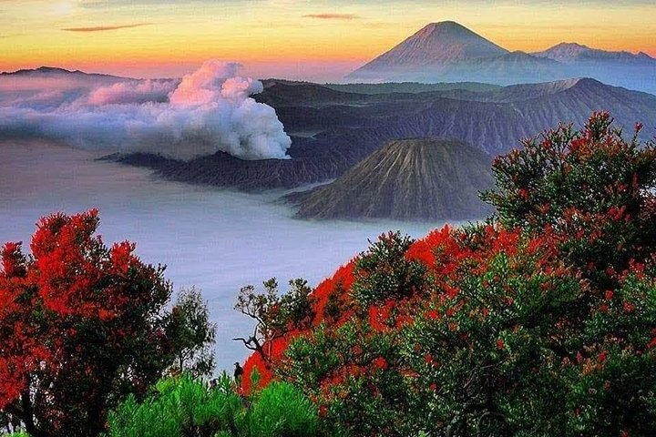 Experience breathtaking views of Indonesia’s iconic volcanoes at sunrise where the rugged landscape meets vibrant flora showcasing nature's power and beauty like never before.