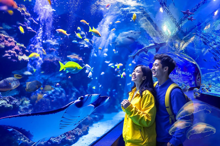 BXSea - Photo 1 of 1