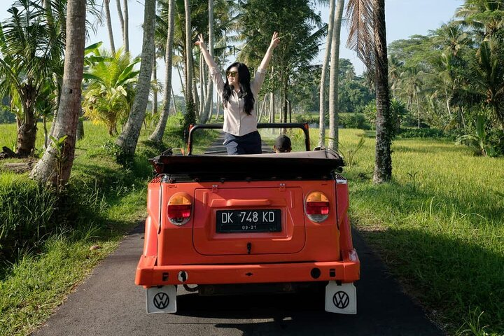 Classic Volkswagen Safari & Village Tour - Photo 1 of 6