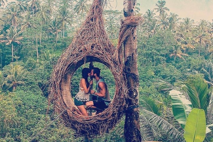 Photo or Selfie Spot