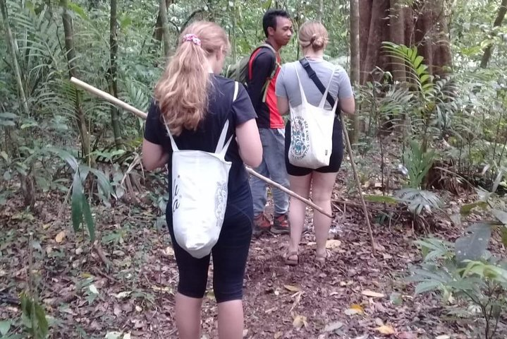 Combine of Tamblingan Waterfall and Twin Lake Tour - Photo 1 of 17