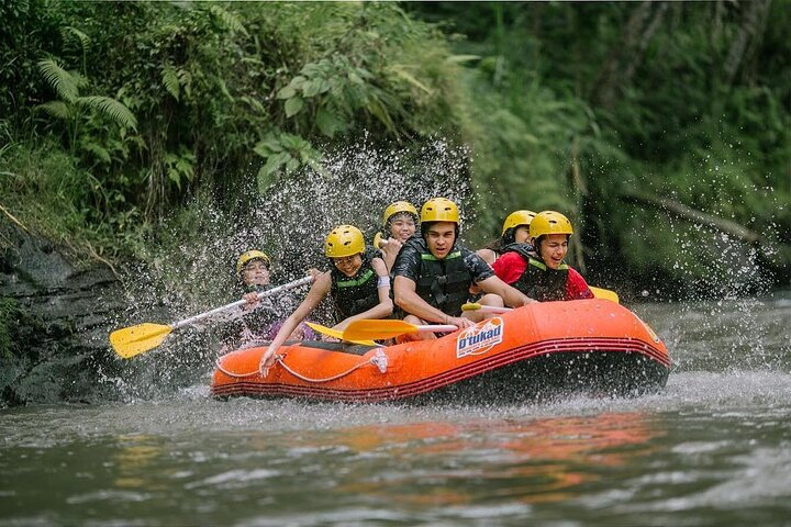 COMBO PACKAGE: Ayung River Rafting and Ubud Tour - Photo 1 of 6