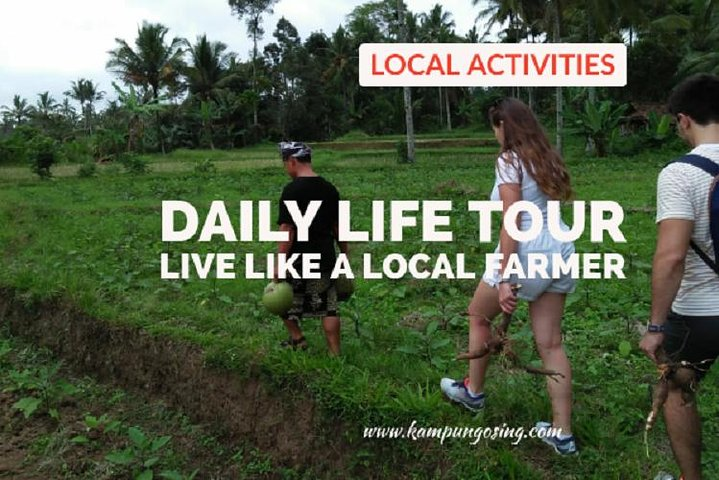 Daily Life Tour: Live Like A Farmer