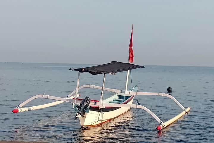 Discover Lovina and sekumpul waterfall - Photo 1 of 13
