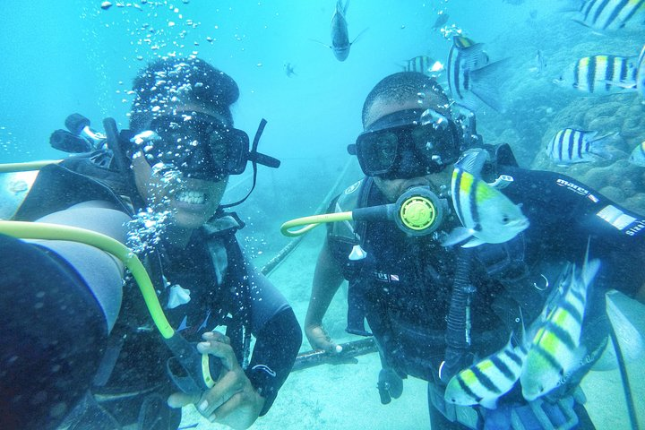 Scuba Diving