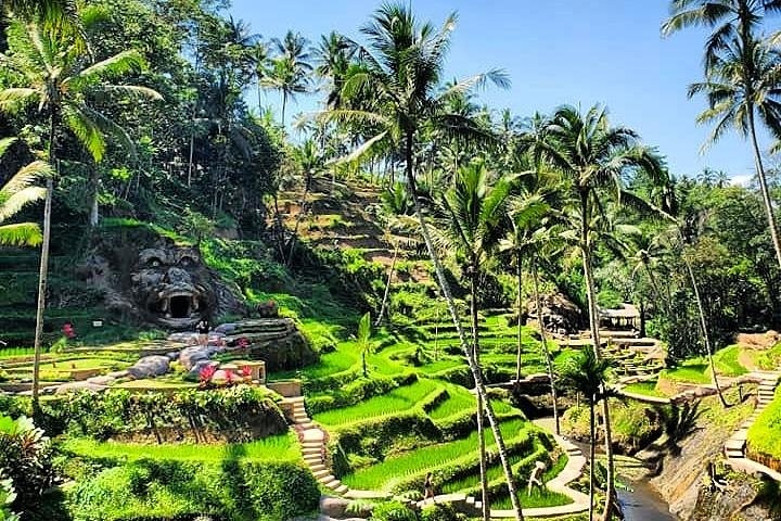 Rice Terrace