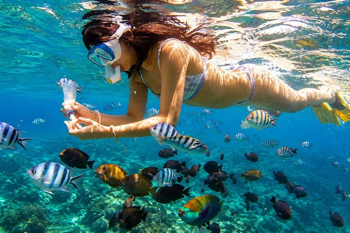 Lovina Dolphin Swim & Snorkel Sunrise with Scenic Viewpoints - Photo 1 of 15