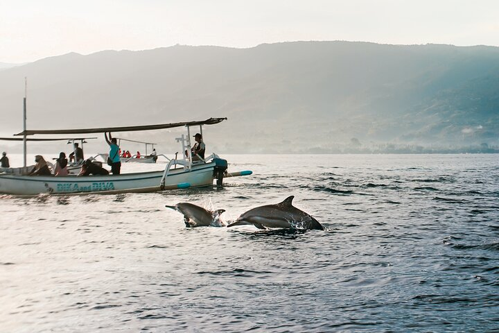 Experience the joy of dolphins leaping alongside local boats all set against the stunning backdrop of North Bali’s coastline perfect for any nature lover’s adventure.