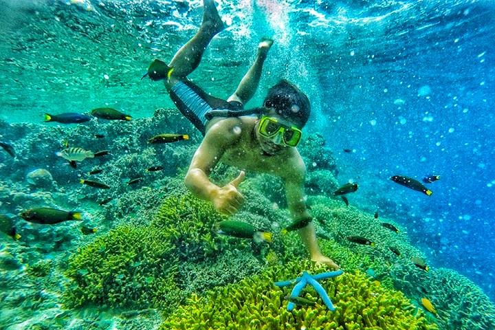 East Java Exotic Day Tour: Menjangan & Tabuhan Island Open Trip from Banyuwangi - Photo 1 of 8