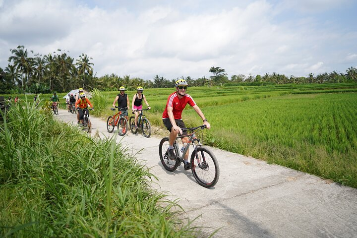 Kintamani Electric Bike - Photo 1 of 4