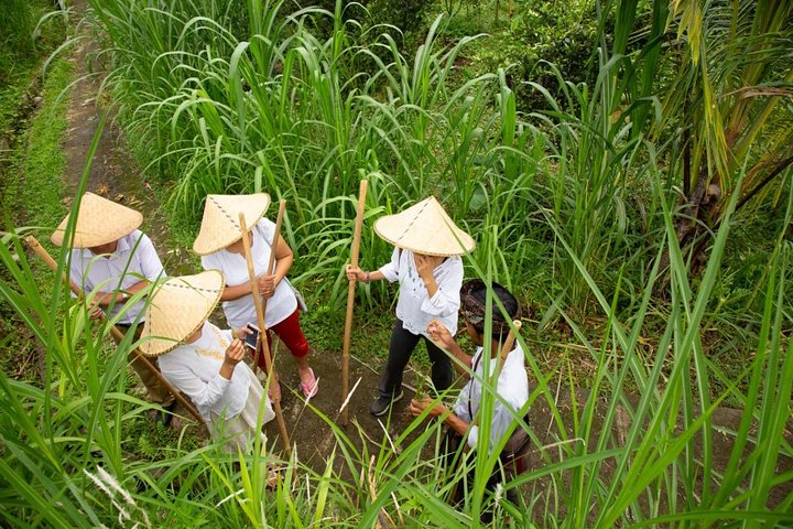 Experience Authentic Balinese Village Life on a Day Trip - Ubud - Photo 1 of 14