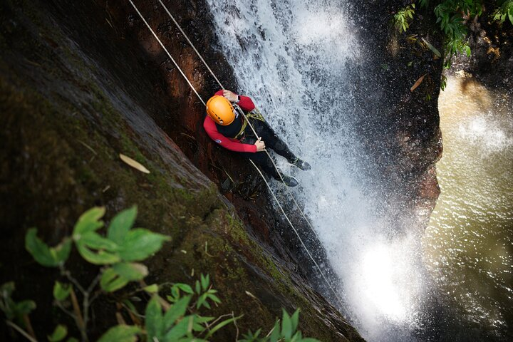 Rappeling Activity