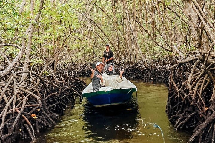 Mangrove Forest by Boat, Kayaking, Stand Up Paddle at Lembongan  - Photo 1 of 5