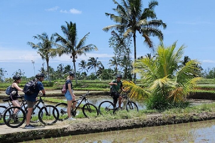 Body Cleansing Purification trip at Bali's Mengening holy Spring - Photo 1 of 9