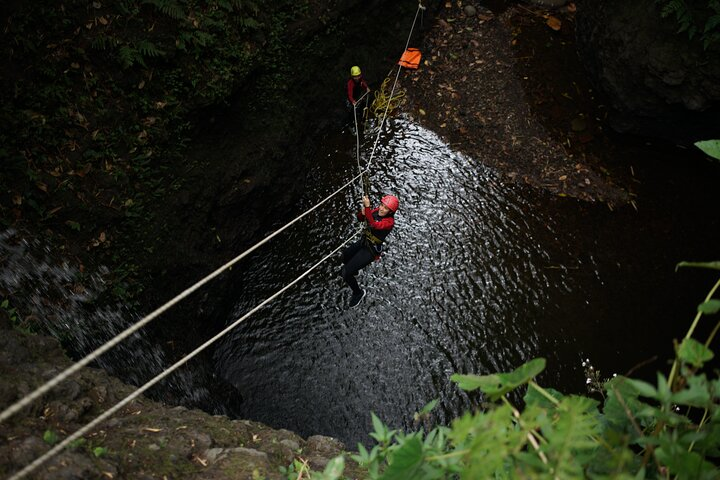 Experience the excitement of abseiling into natural pools surrounded by lush greenery and stunning rock formations while being guided by local experts in Bali's Springs Canyon.
