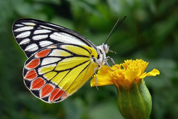 Full Day Wonders of Bali Group Tour with Pickup and Lunch - Photo 1 of 7