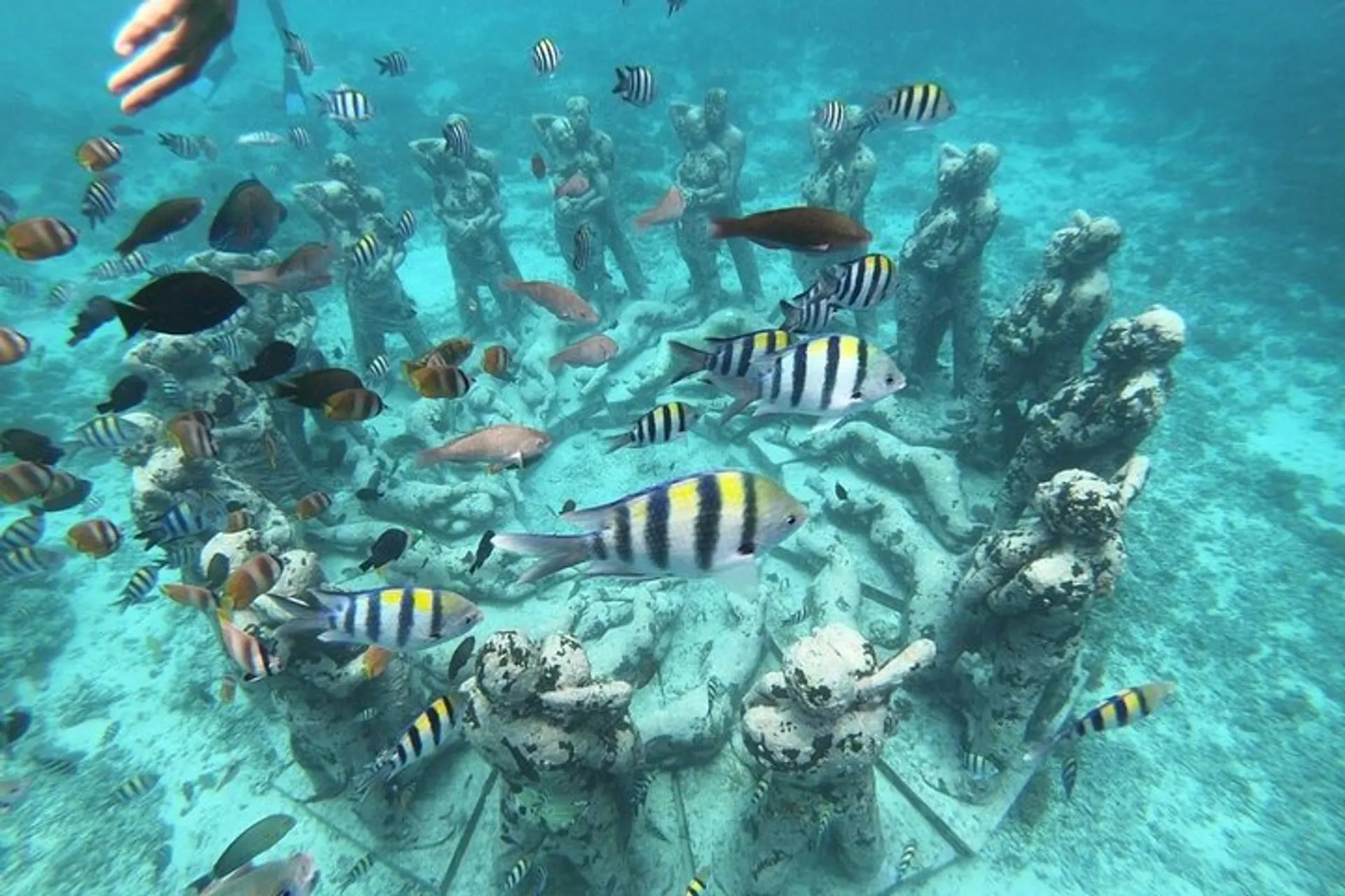 殘影Gili ギリ・トラワンガン の Gili island Snorkeling Half Day Trip