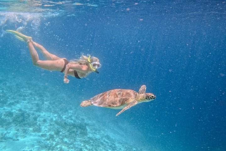 Group Snorkeling Tour Gili Islands Including GoPro Documentation - Photo 1 of 25
