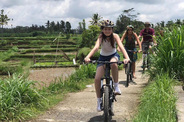 Ride through rice field
