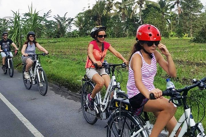 Healthy Cycling with Bali Tour Electric Bike - Photo 1 of 10