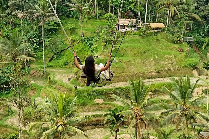 Jungle swing