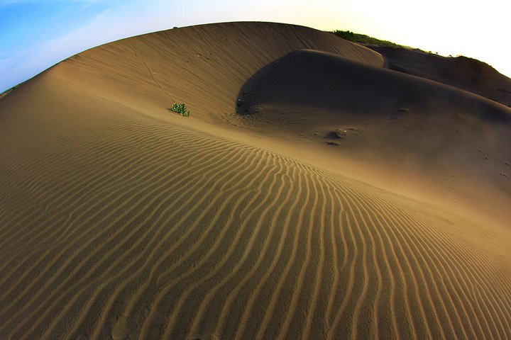 Expansive sand dunes invite explorers to wander and appreciate the serene beauty of Yogyakarta offering a unique backdrop for unforgettable adventures and memorable experiences.