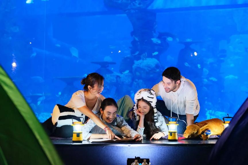 Jakarta AQuarium Safari - Photo 1 of 1