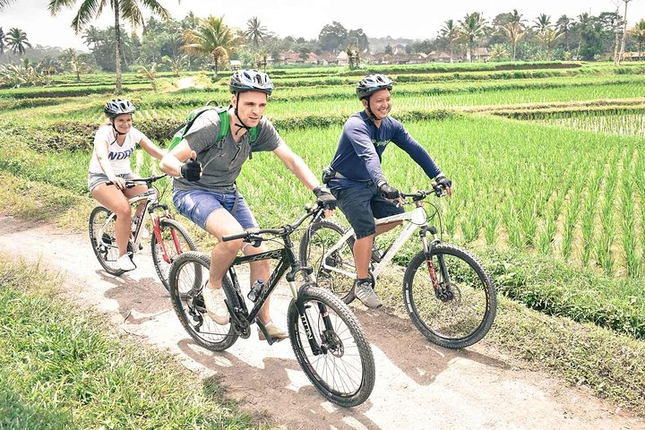 Kintamani Cycling Tour