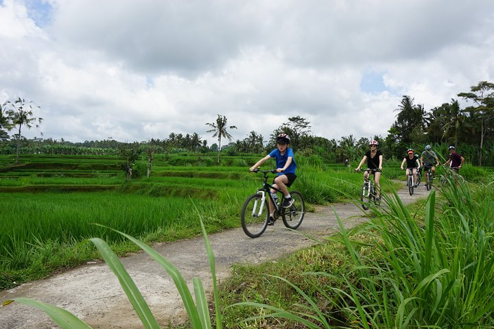 Kintamani Cultural and Nature Cycling Tour ( Manual Bike ) - Photo 1 of 6