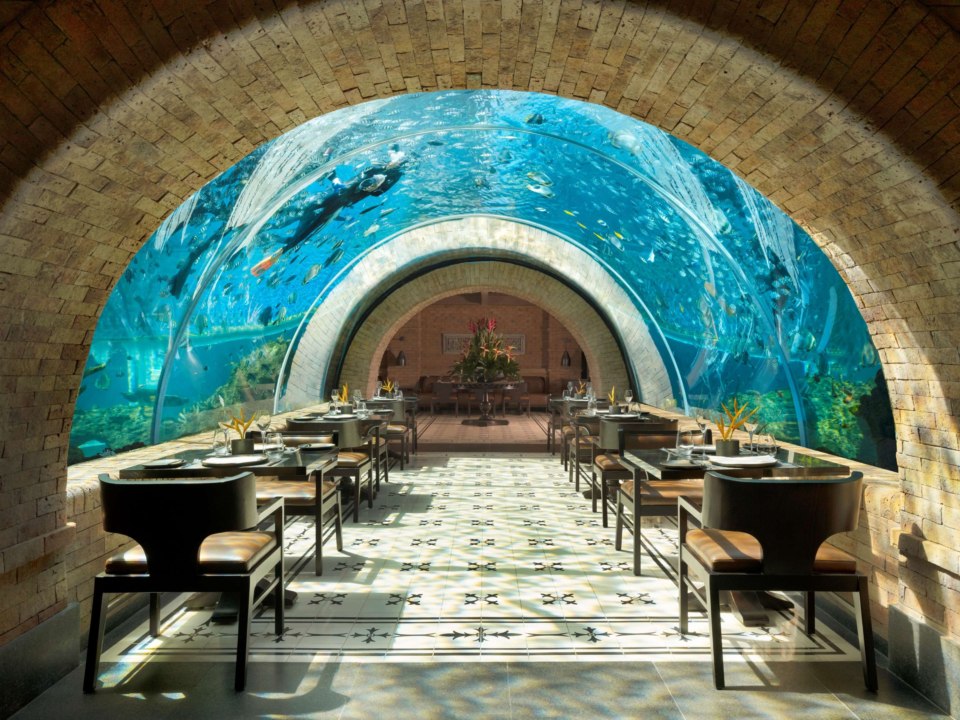Dine surrounded by mesmerizing marine life at Koral Aquarium Restaurant where each bite celebrates Indonesian coastal flavors in a stunning underwater setting. Perfect for travelers seeking unique culinary adventures.