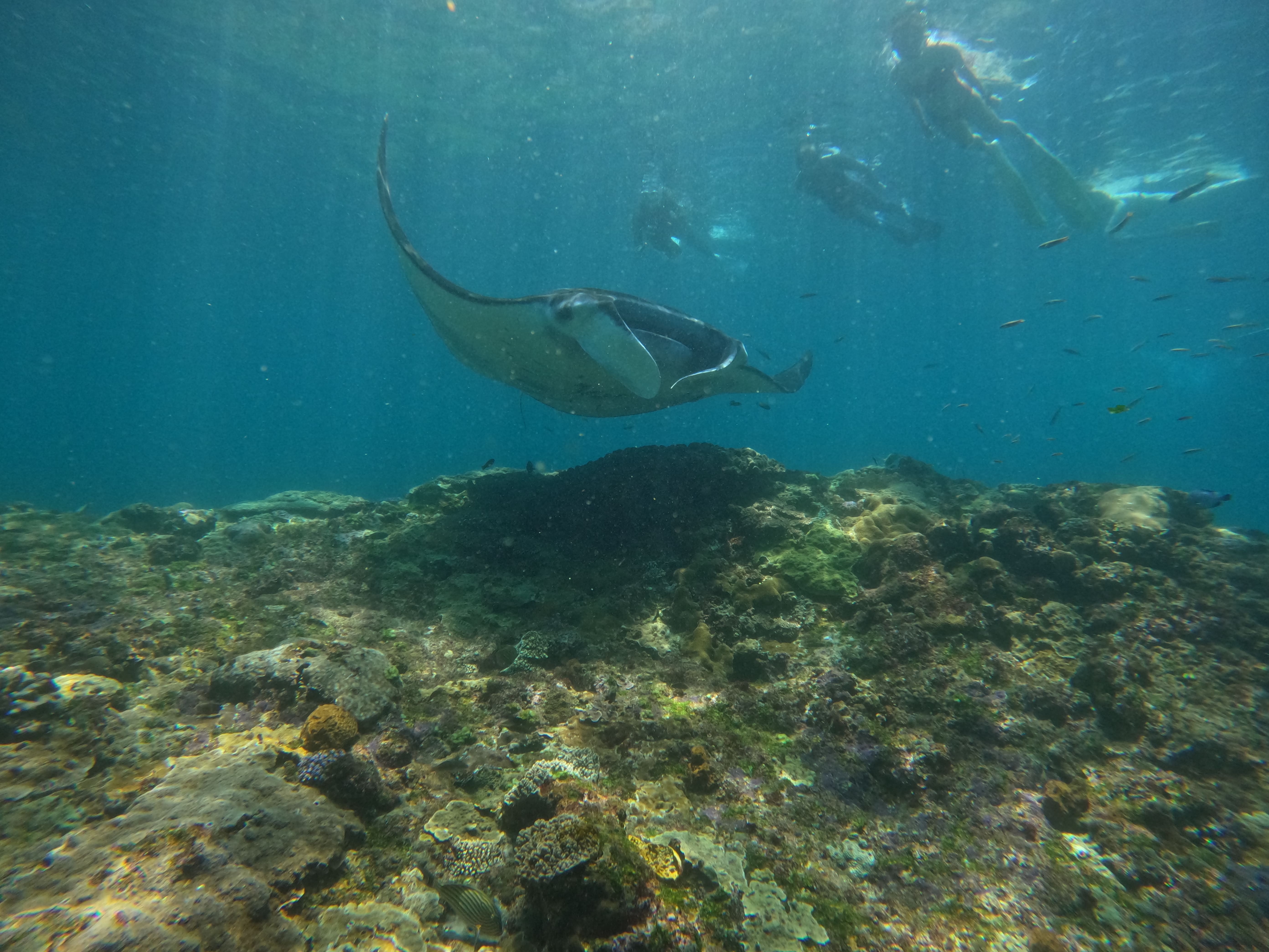 Lembongan Island Exploration Tour - Photo 1 of 3