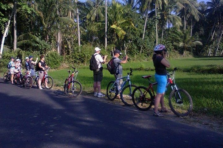 Lombok Cycling Tour: Tempos Rice Field, Hand Weaving Village & Pengsong Temple - Photo 1 of 6