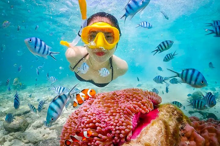 https://www.pelago.com/img/products/ID-Indonesia/lombok-pink-beach-boat-trip-full-day-snorkeling/29d7af92-e2a0-4282-9474-b2521d68bd30_lombok-pink-beach-boat-trip-full-day-snorkeling.jpg