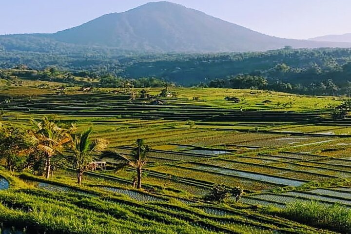 Jatiluwih rice terrace