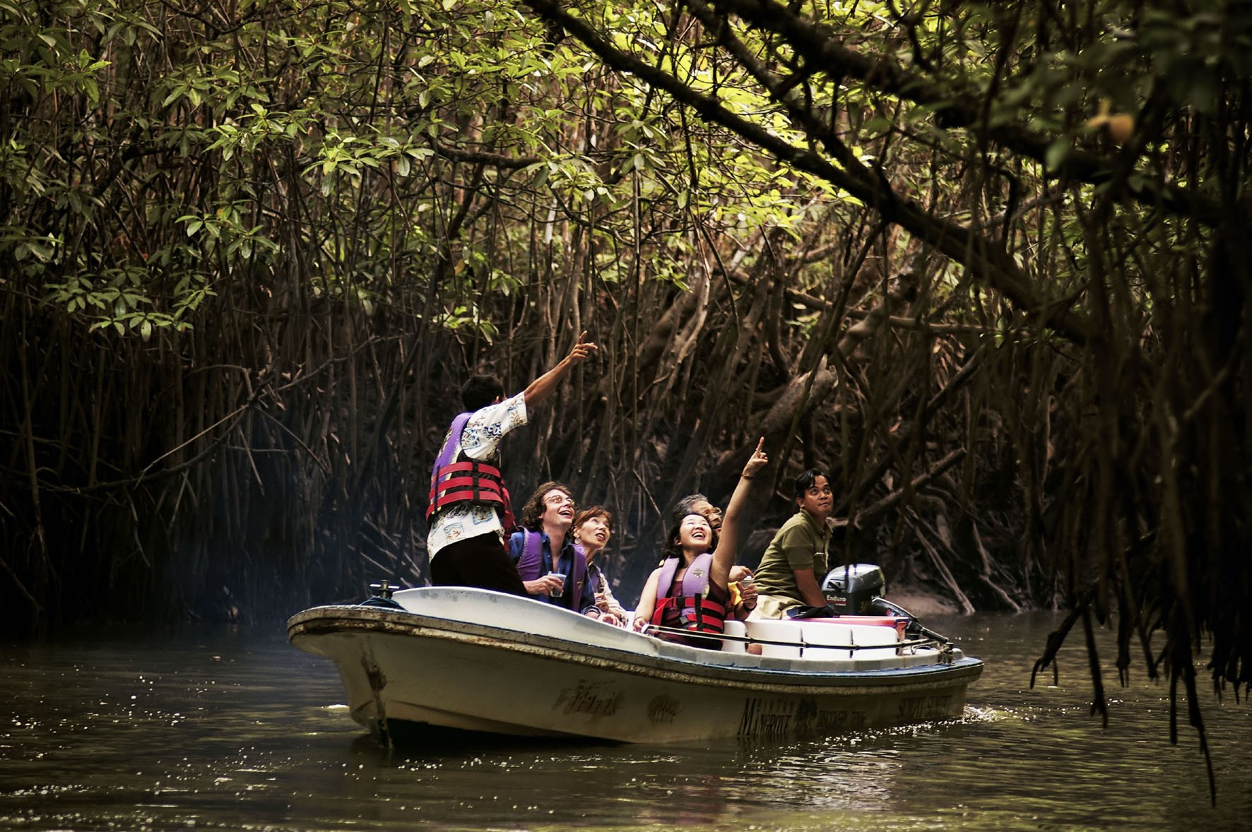 Experience the unique beauty of Bintan's mangroves where explorers encounter fascinating wildlife and enjoy the serenity of Sebung River on an unforgettable eco-adventure.