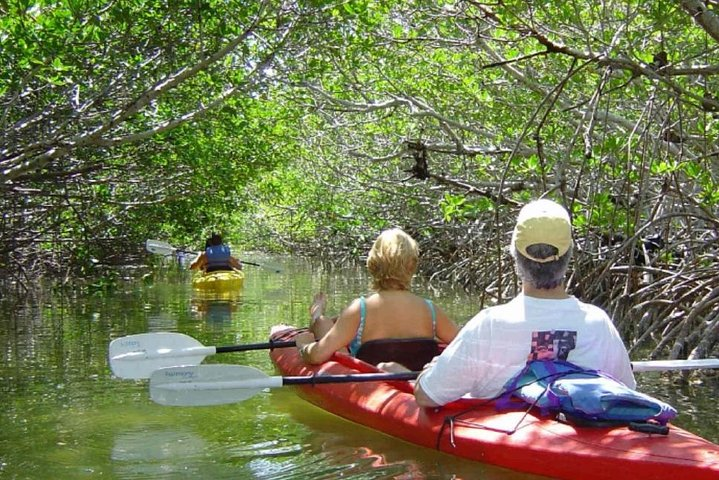 Mangrove Forest Bali Canoe Eco Tour - Photo 1 of 9