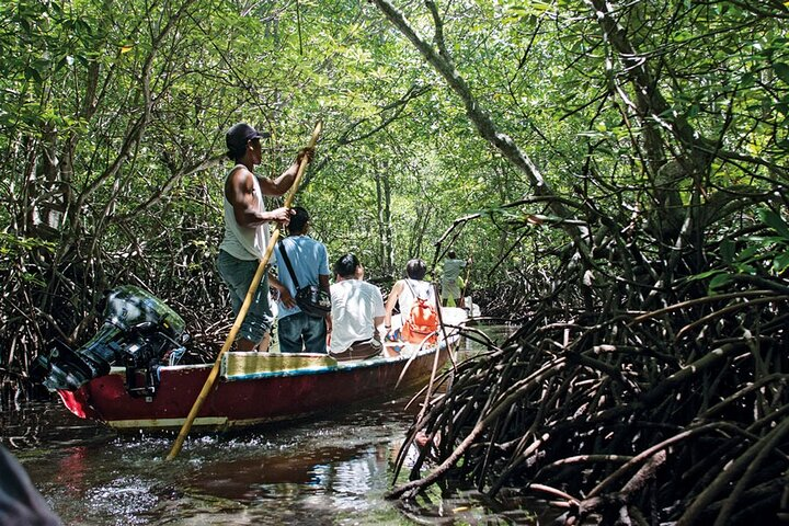 Mangrove Tour at Nusa Lembongan : Kayak, Paddle and Boat - Photo 1 of 5
