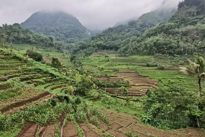 Discover the lush rice terraces and stunning landscapes on your trek to Selogriyo Temple immersing yourself in the serene beauty of Yogyakarta's remote nature.