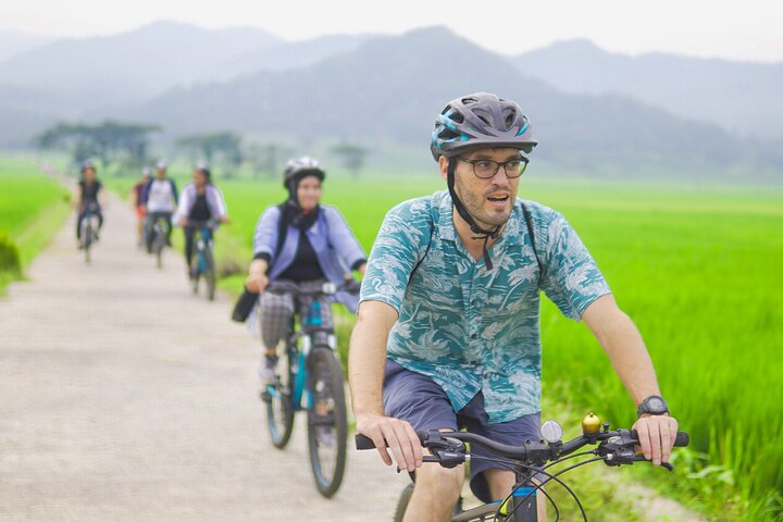 Cycle through rice fields
