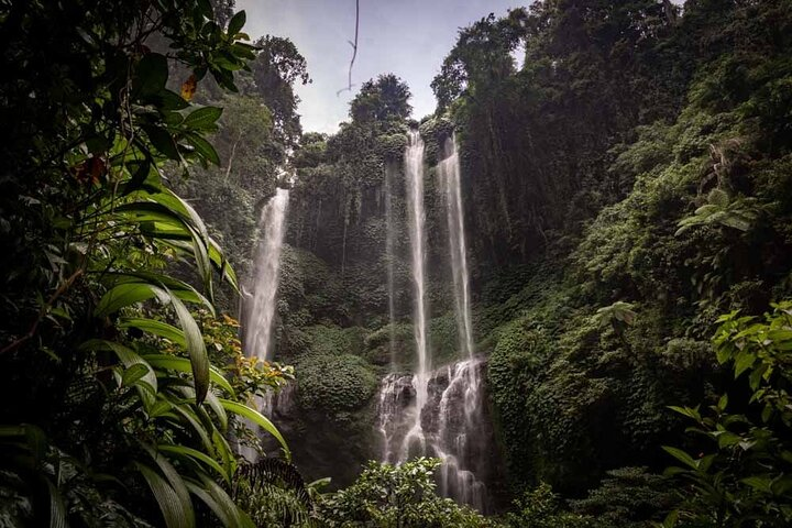 Immerse in the stunning beauty of Sekumpul Waterfall where gentle streams cascade through lush greenery offering a perfect escape into Bali’s natural wonders and photo opportunities.
