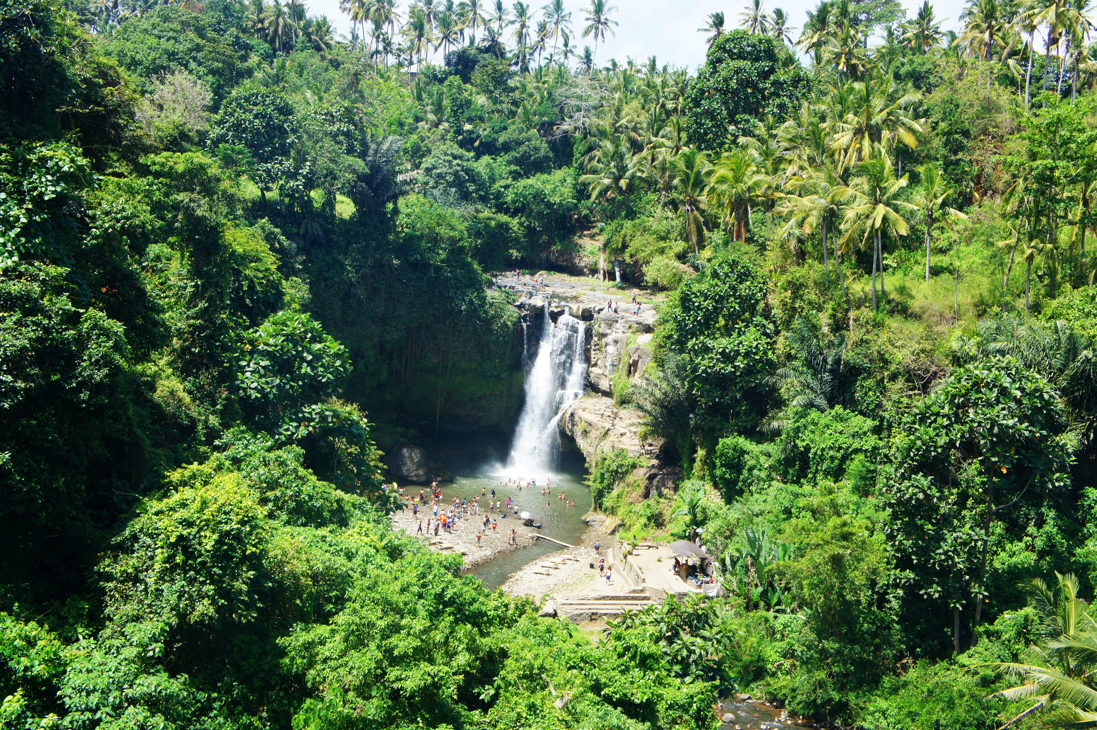 Experience the natural beauty of Bali with lush greenery surrounding a stunning waterfall perfect for unwinding and soaking in the serene landscapes during your adventure.